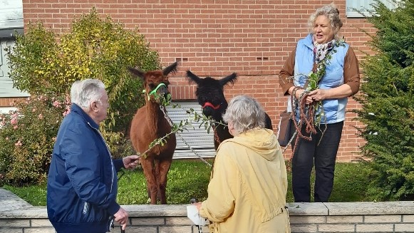 Christina Engelhardt (r.) berichtet allerlei Wissenswertes über Alpakas. | Foto: Caritas