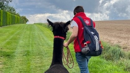 Ausflug der Pflegeteams zur den Alpakas in Nesselröden.