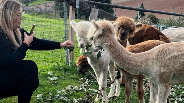 Ausflug der Pflegeteams zur den Alpakas in Nesselröden.
